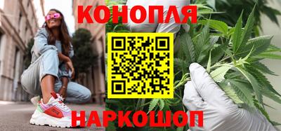 сатива Шебекино