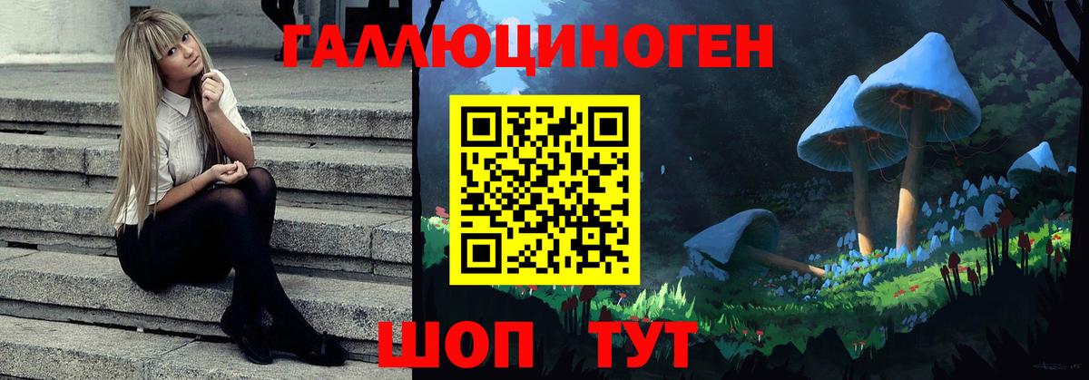Выкса  Псилоцибиновые грибы GOLDEN TEACHER  Вход с VPN  Псилоцибиновые грибы Cubensis 